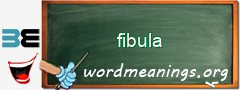 WordMeaning blackboard for fibula